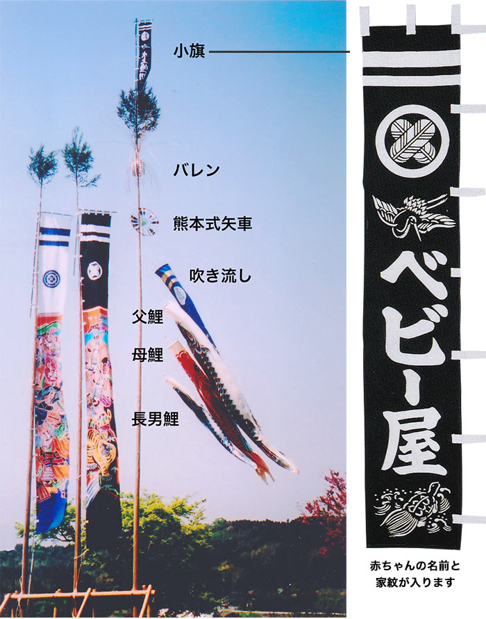 熊本式鯉のぼり